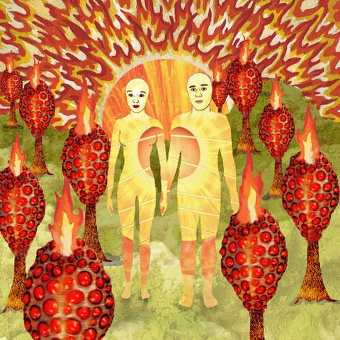 Of Montreal - The Sunlandic Twins - 2x Vinyl LP
