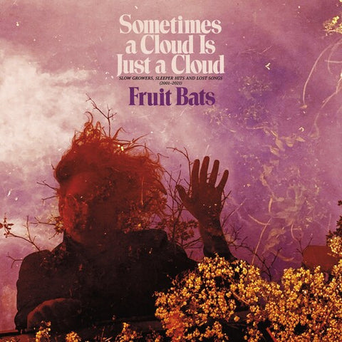 Fruit Bats - Sometimes a Cloud Is Just a Cloud: Slow Growers, Sleeper Hits and Lost Songs (2001–2021) - 2x Vinyl LPs