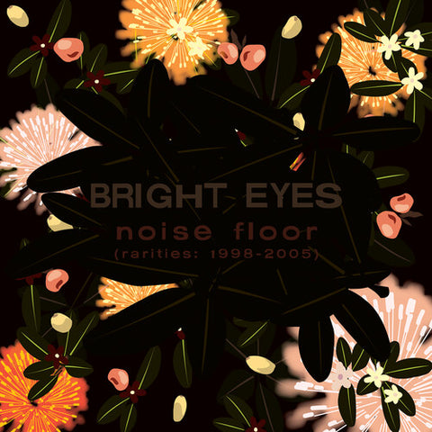 Bright Eyes - Noise Floor (Rarities: 1998-2005) - 2x Vinyl LPs
