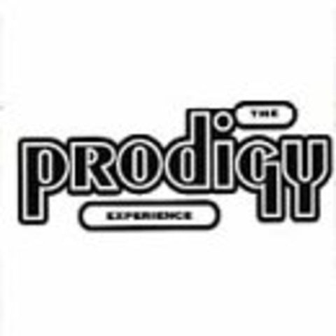 The Prodigy - The Experience - 2x Vinyl LPs