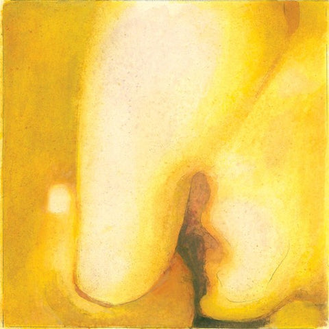 Smashing Pumpkins - Pisces Iscariot - 2x Vinyl LPs