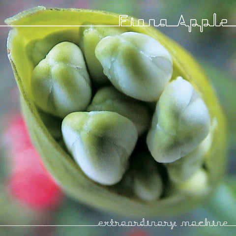 Fiona Apple - Extraordinary Machine - 1xCD