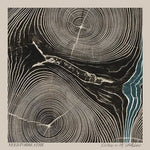 Needtobreathe - Rivers in the Wasteland- Vinyl LP