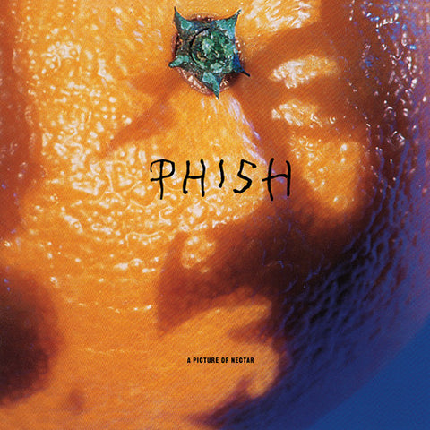 Phish - A Picture Of Nectar - 2x Vinyl LPs
