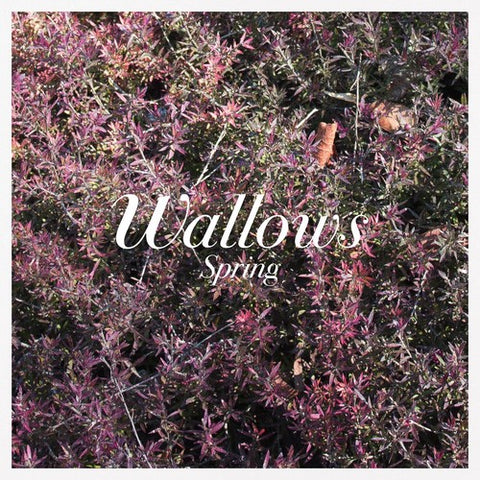 Wallows - Spring - Vinyl LP