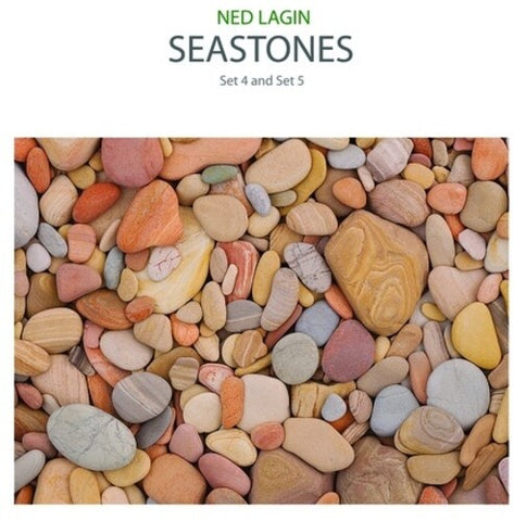 Ned Lagin (ft. Phil Lesh, Jerry Garcia, Mickey Hart) - Seastones: Set 4 & Set 5 - Vinyl LP