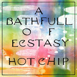 Hot Chip - A Bathful of Ecstasy - 2x Vinyl LPs