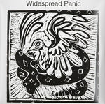 Widespread Panic - Self-Titled - 2x Color Vinyl LPs