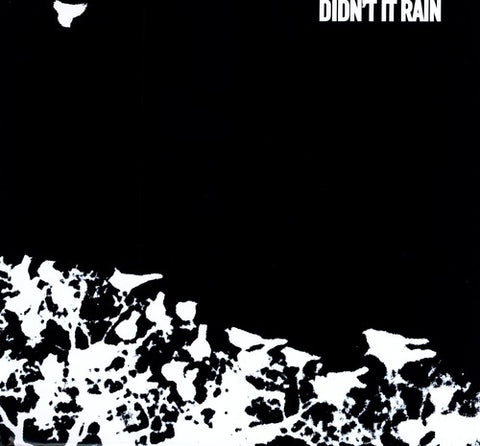 Songs: Ohia - Didn't It Rain - Vinyl LP