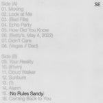Sylvan Esso - No Rules Sandy - Vinyl LP