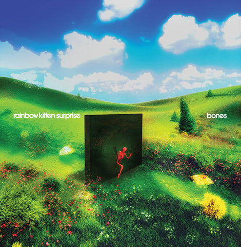 Rainbow Kitten Surprise - bones (PREORDER SEPTEMBER 26TH STREET DATE) - 1xCD