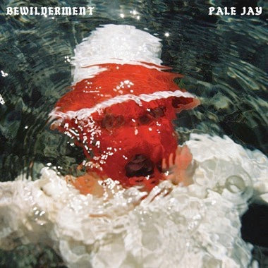 Pale Jay - Bewilderment - Vinyl LP