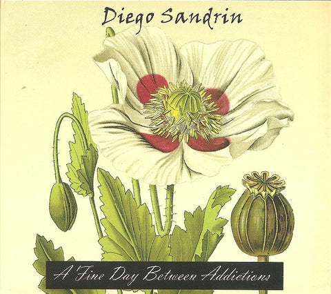 Diego Sandrin – A Fine Day Between Addictions - 1xCD