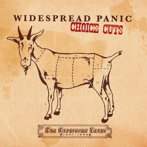 Widespread Panic - Choice Cuts: The Capricorn Years 1991-1999 - 1xCD