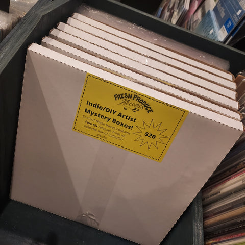 $20 Indie/DIY Artist Mystery Box!