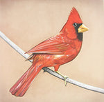 Alexisonfire - Old Crows/Young Cardinals - 2x Vinyl LPs