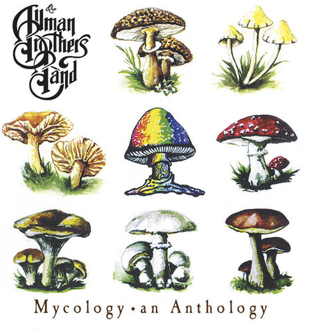 The Allman Brothers Band - Mycology: An Anthology (Holland Import) - 1xCD