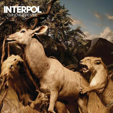 Interpol - Our Love To Admire - 2x Vinyl LPs