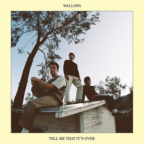 Wallows - Tell Me That It's Over - Vinyl LP