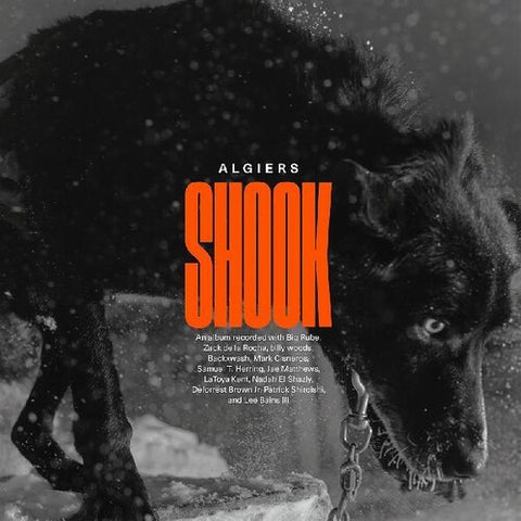 Algiers - Shook - 2x Vinyl LPs