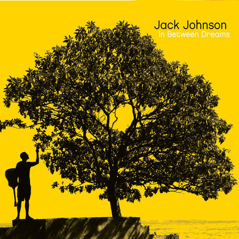 Jack Johnson - In Between Dreams - Vinyl LP