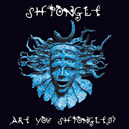 Shpongle - Are You Shpongled? - 3x Vinyl LPs