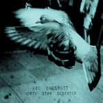 Vic Chesnutt - North Star Deserter - 1xCD