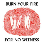 Angel Olsen - Burn Your Fire For No Witness - Vinyl LP