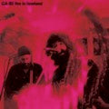 GA-20 - Live in Loveland - Vinyl LP