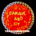 The Jesus and Mary Chain - Damage And Joy - Vinyl LP