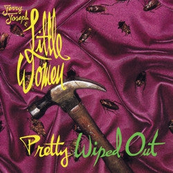 Jerry Joseph - Pretty Wiped Out - Vinyl LP