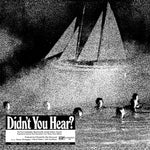 Mort Garson - Didn't You Hear Soundtrack - Vinyl LP