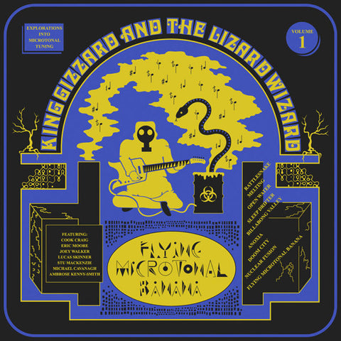 King Gizzard & The Lizard Wizard - Flying Microtonal Banana - Vinyl LP