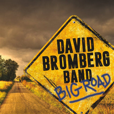 David Bromberg - Big Road - Vinyl LP