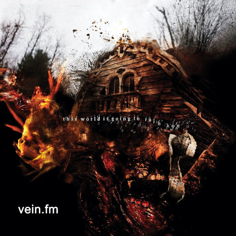 Vein.FM - This World is Going To Ruin You - Vinyl LP
